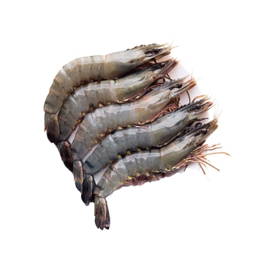 Chingri (Bagda)