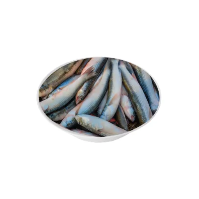 Bata fish traditional variety.