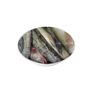 Bele fish regional variety.