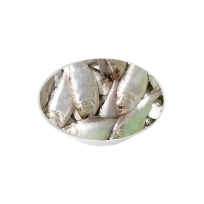 Chapila fish small freshwater variety.