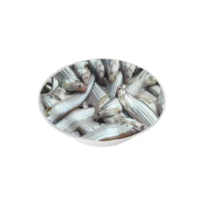 Kajli fish regional variety.