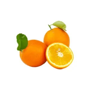 Malta fruit citrus variety.