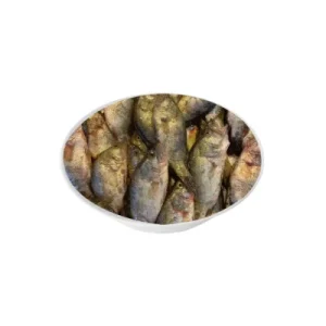 Meni fish small size.