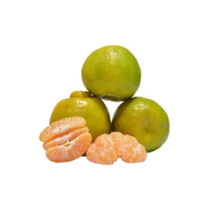 Orange India fruit juicy variety.