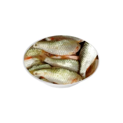 Puti fish small freshwater variety.