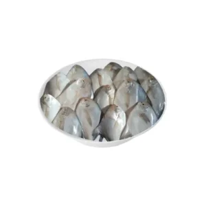 Rup Chanda fish popular seafood.