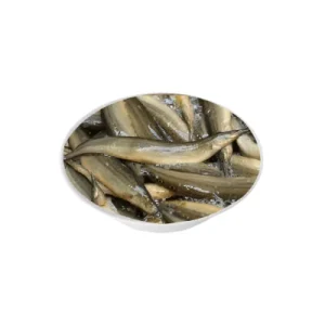 Tara Baim fish freshwater species.