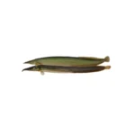 Baim fish local variety.