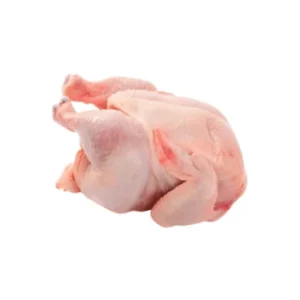 Cleaned broiler chicken ready to cook.