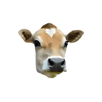Cow head meat specialty.