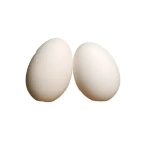 Eggs (Deshi) Hen traditional variety.