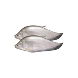 Foli fish regional specialty.