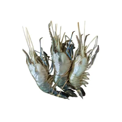 Galda prawn freshwater variety.