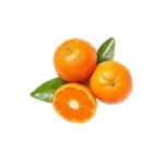 Orange China fruit sweet variety.