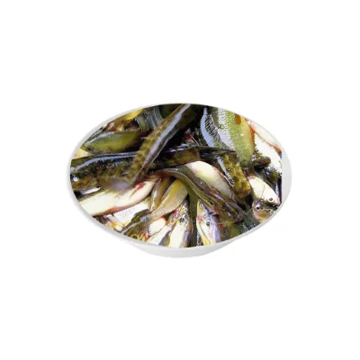 Pachmishali fish traditional variety.