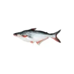 Pangas fish farm-raised.