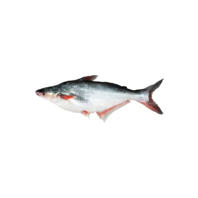 Pangas fish farm-raised.