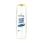 Advanced 2-in-1 fight against dandruff and hair fall.