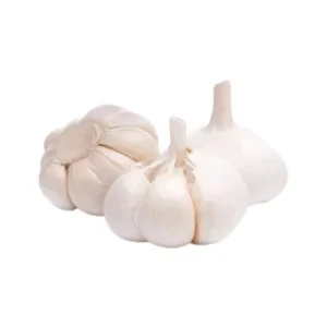Rosun import onion premium quality.