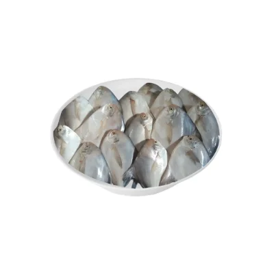Rup Chanda fish popular seafood.
