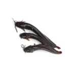 Shing Hybrid catfish farm-raised.