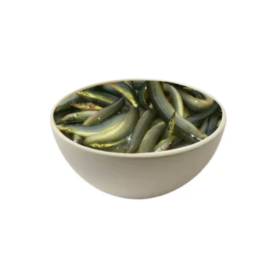 Baim Medium fish regular size.